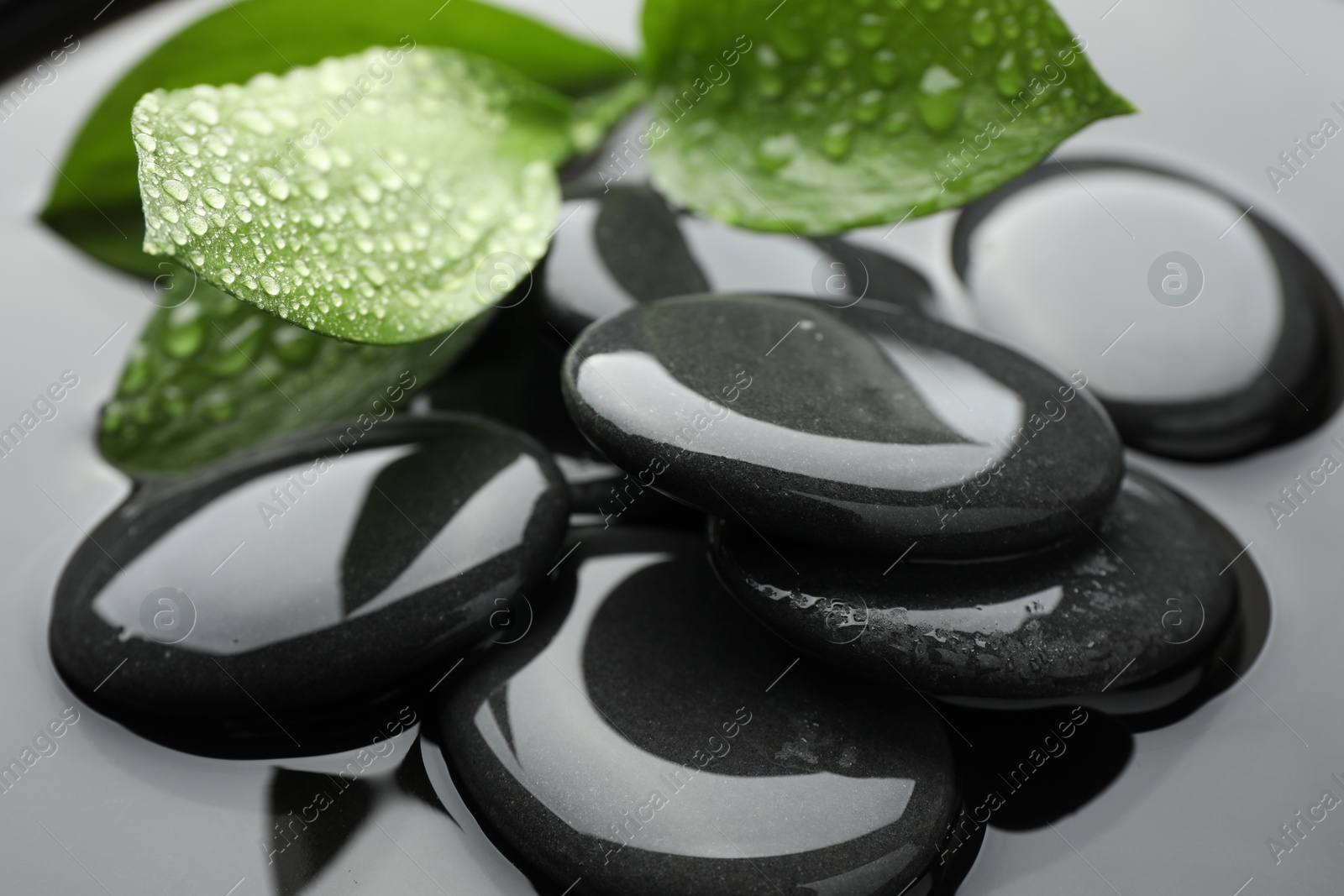 Photo of Spa stones and green leaves in water, closeup