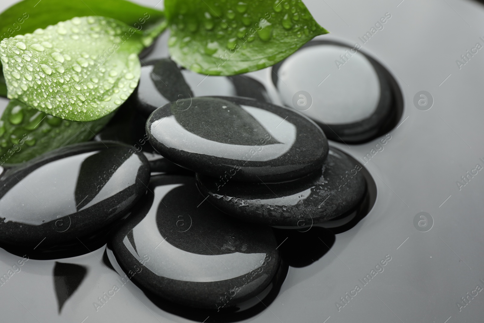 Photo of Spa stones and green leaves in water, closeup