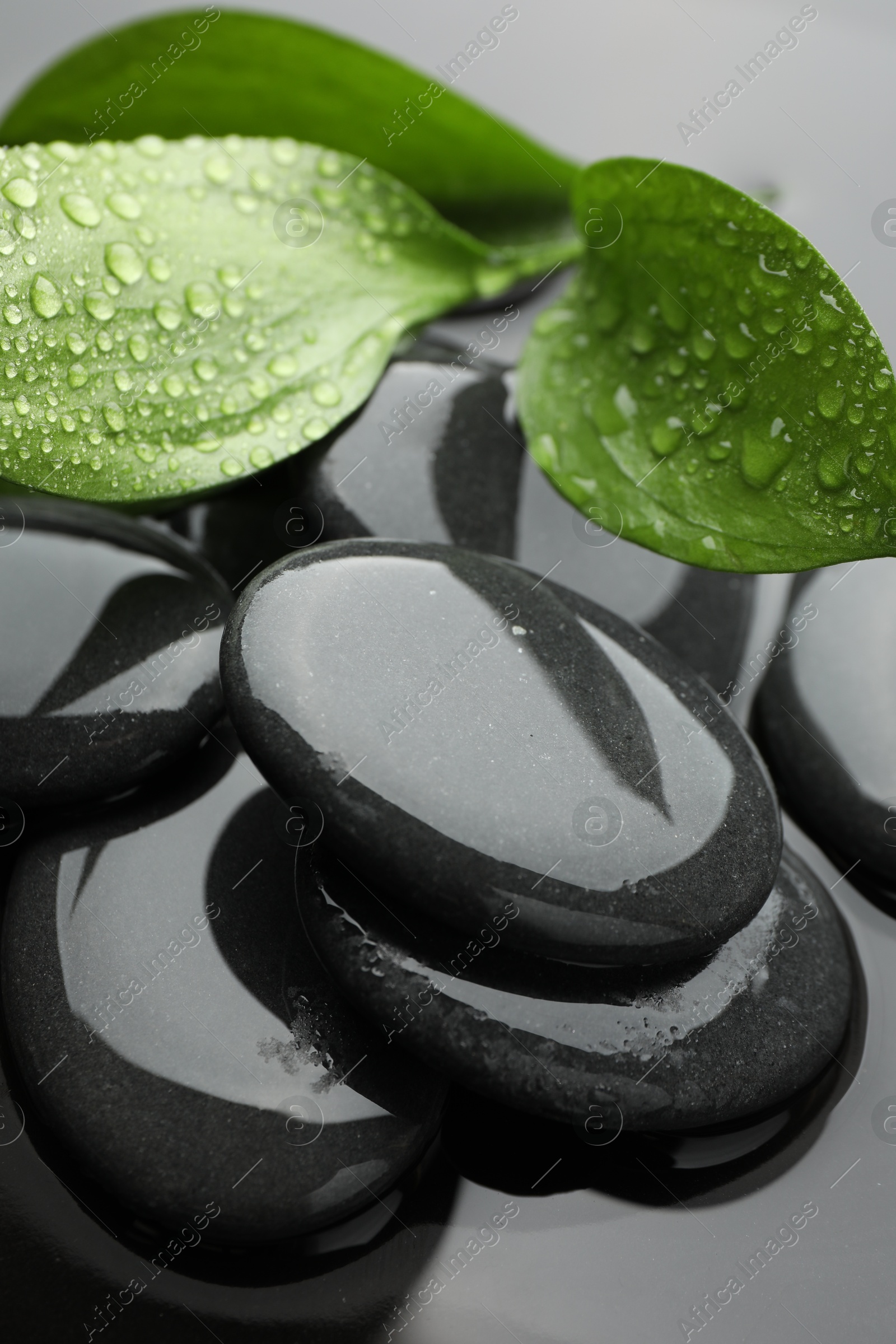 Photo of Spa stones and green leaves in water, closeup