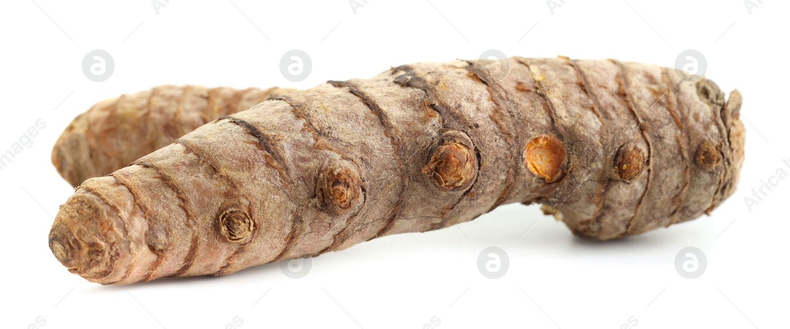 Photo of Two fresh turmeric roots isolated on white