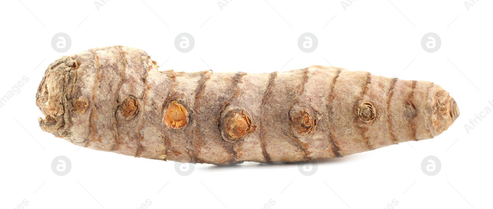 Photo of One fresh turmeric root isolated on white