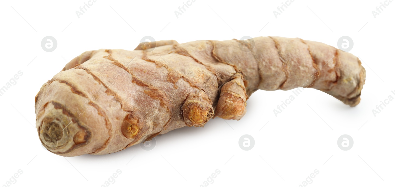 Photo of One fresh turmeric root isolated on white