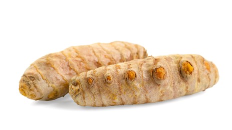 Photo of Two fresh turmeric roots isolated on white