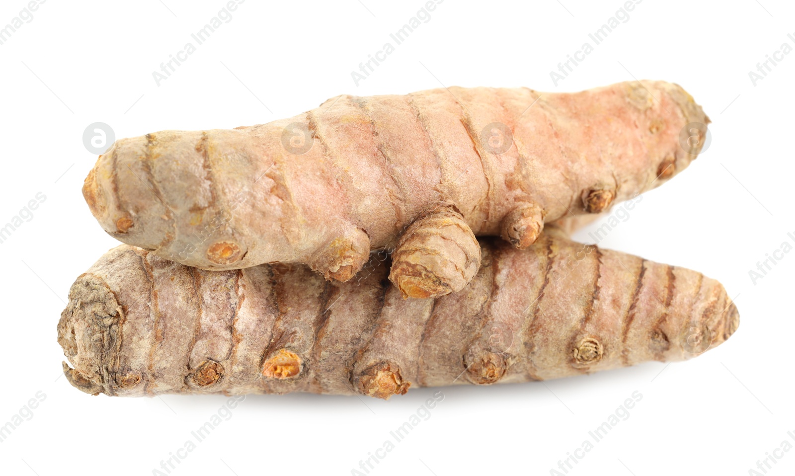 Photo of Two fresh turmeric roots isolated on white