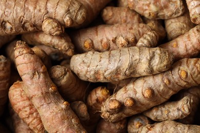 Photo of Many fresh turmeric roots as background, above view