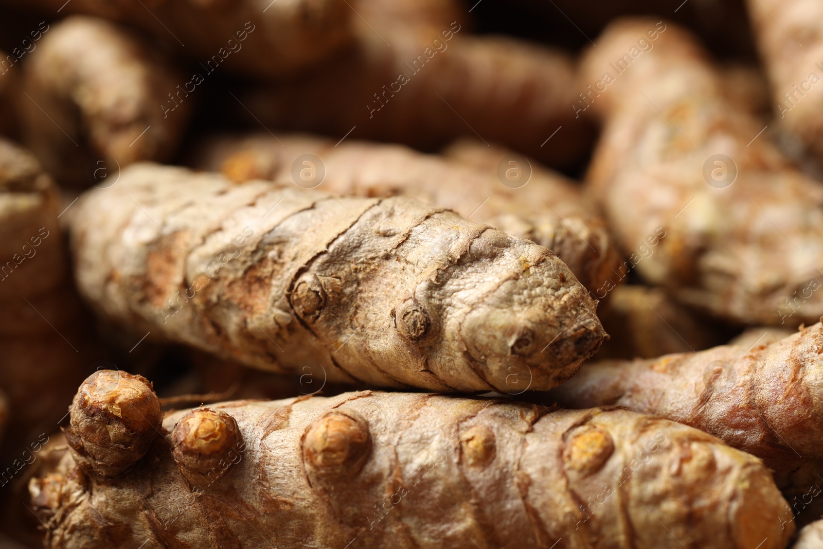 Photo of Many fresh turmeric roots as background, closeup