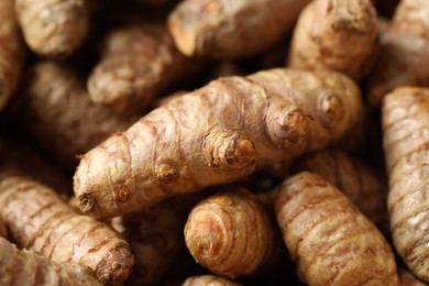 Photo of Many fresh turmeric roots as background, closeup