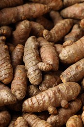 Photo of Many fresh turmeric roots as background, above view