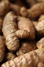 Photo of Many fresh turmeric roots as background, closeup