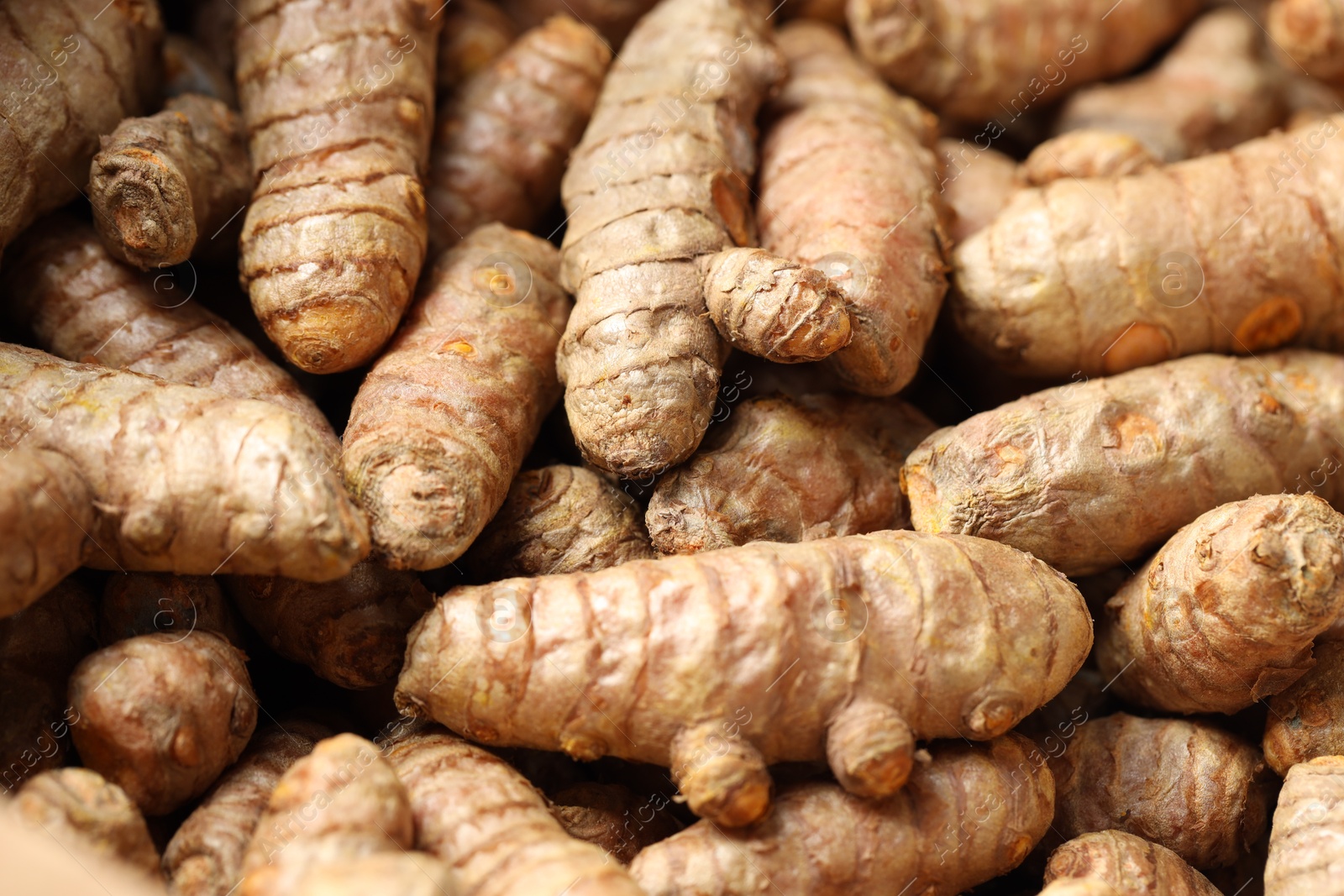 Photo of Many fresh turmeric roots as background, closeup