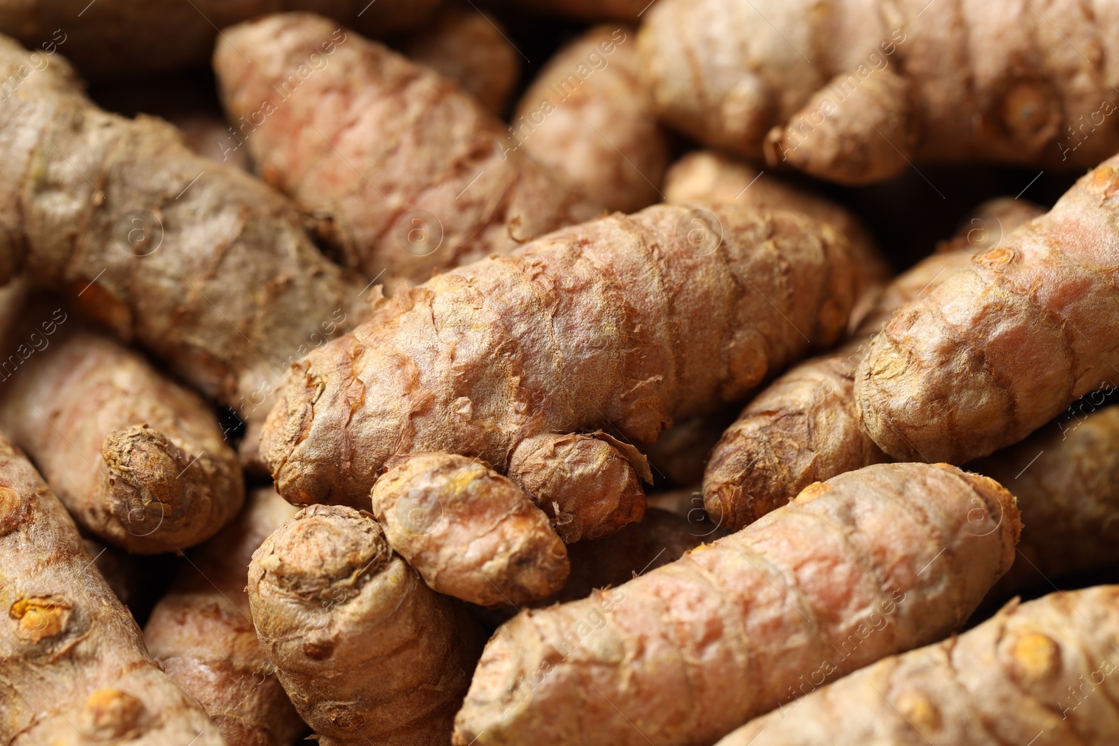 Photo of Many fresh turmeric roots as background, closeup