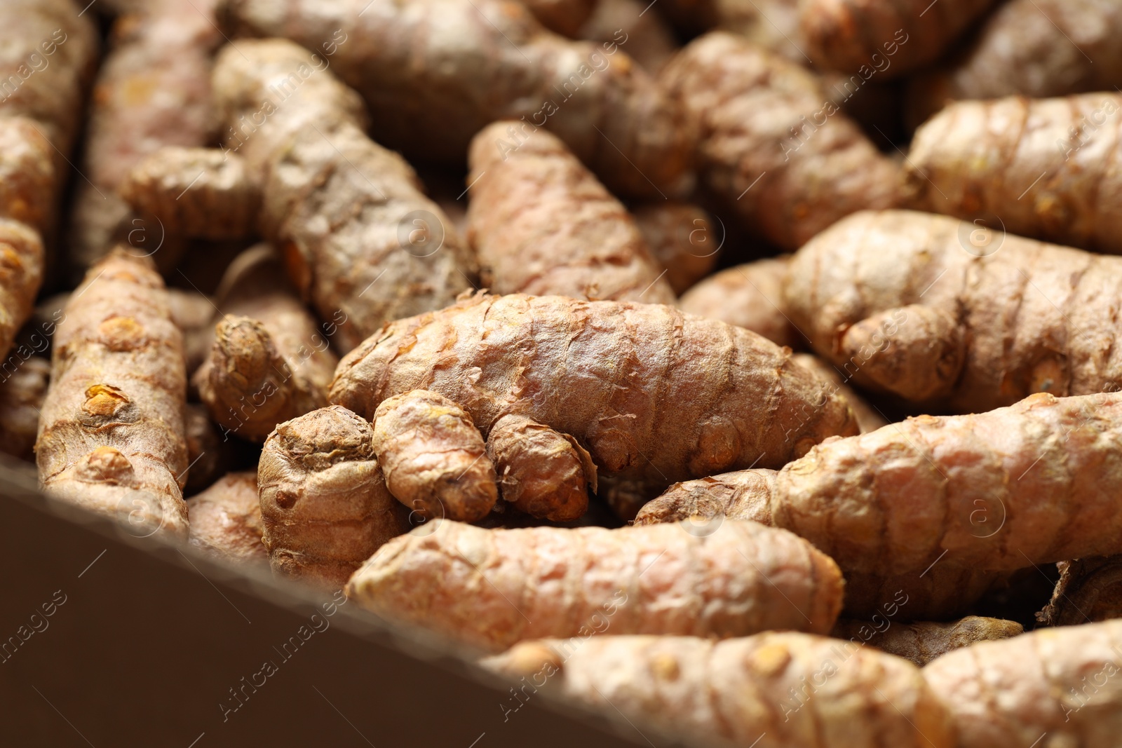 Photo of Many fresh turmeric roots as background, closeup