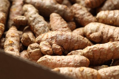 Photo of Many fresh turmeric roots as background, closeup