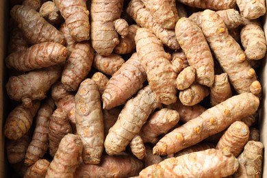 Photo of Many fresh turmeric roots as background, top view