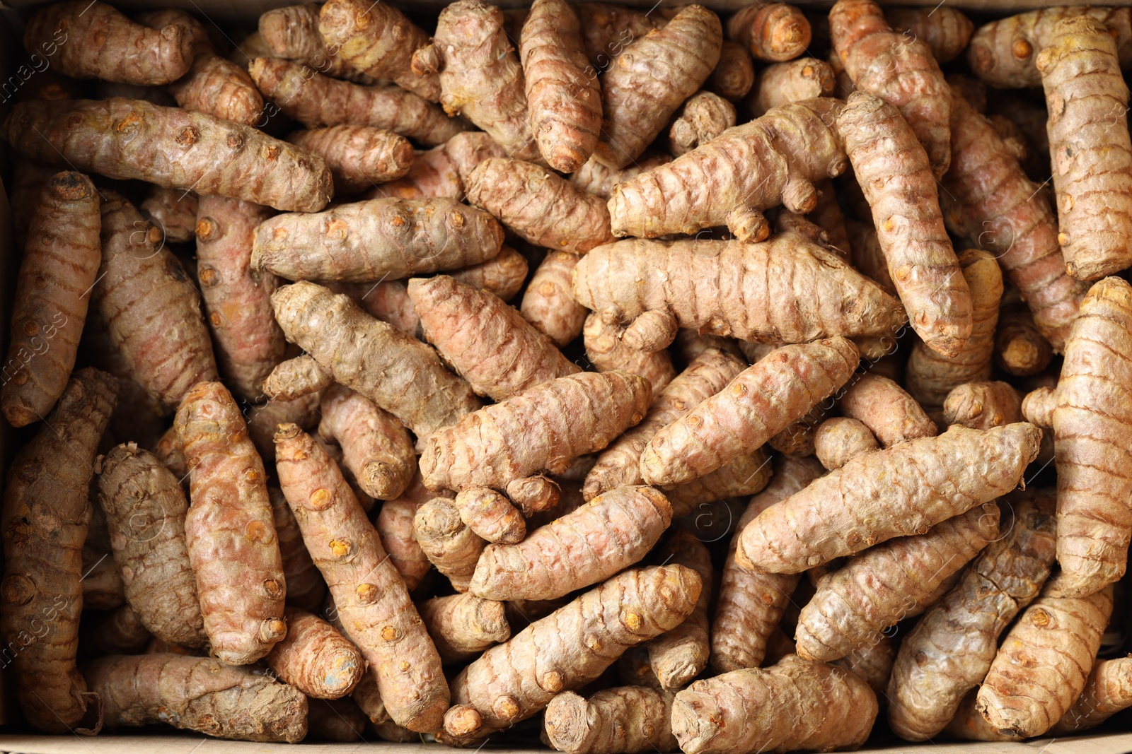 Photo of Many fresh turmeric roots as background, top view