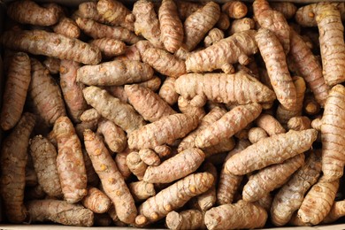 Photo of Many fresh turmeric roots as background, top view