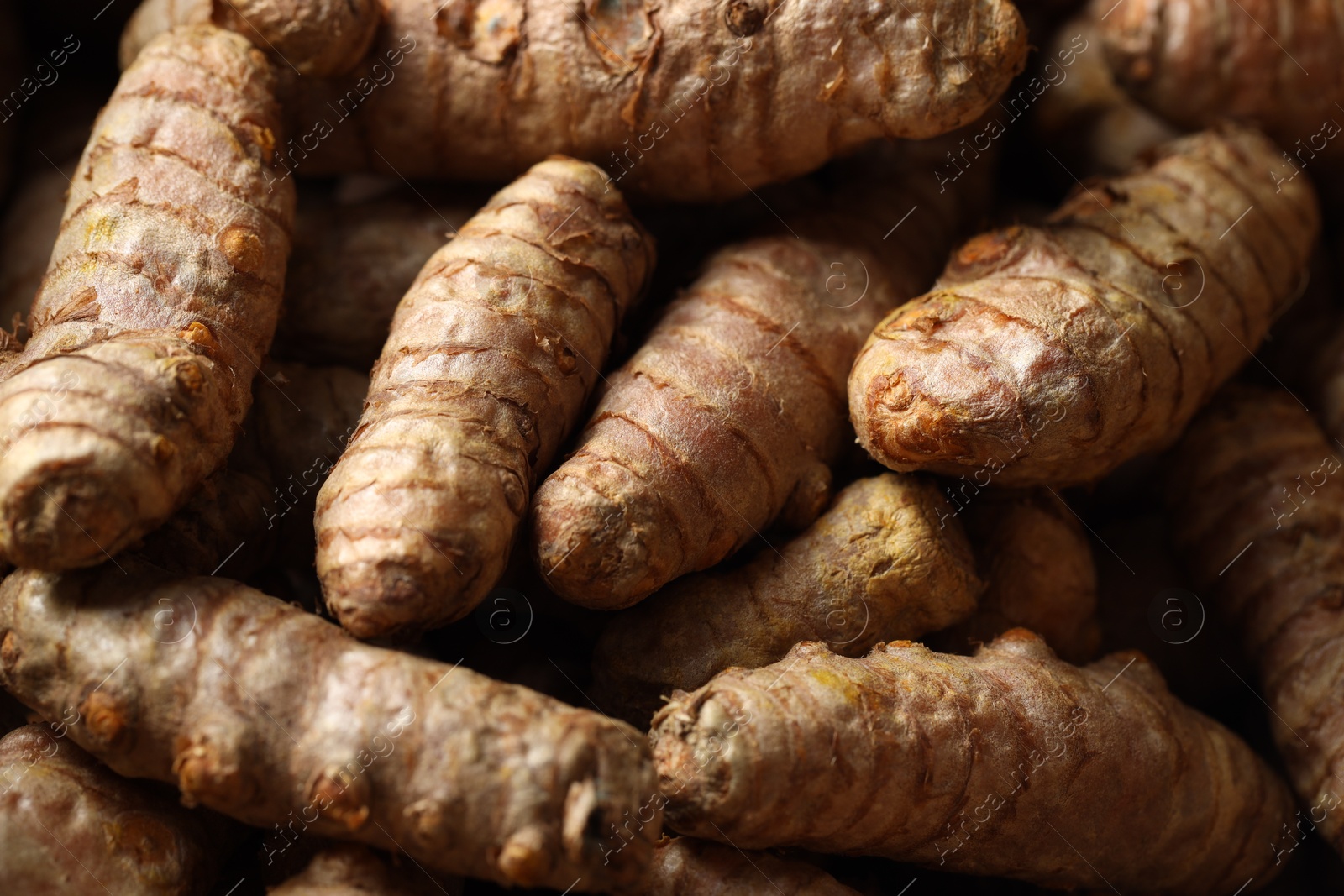 Photo of Many fresh turmeric roots as background, closeup