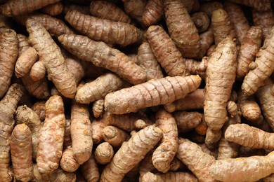 Photo of Many fresh turmeric roots as background, top view