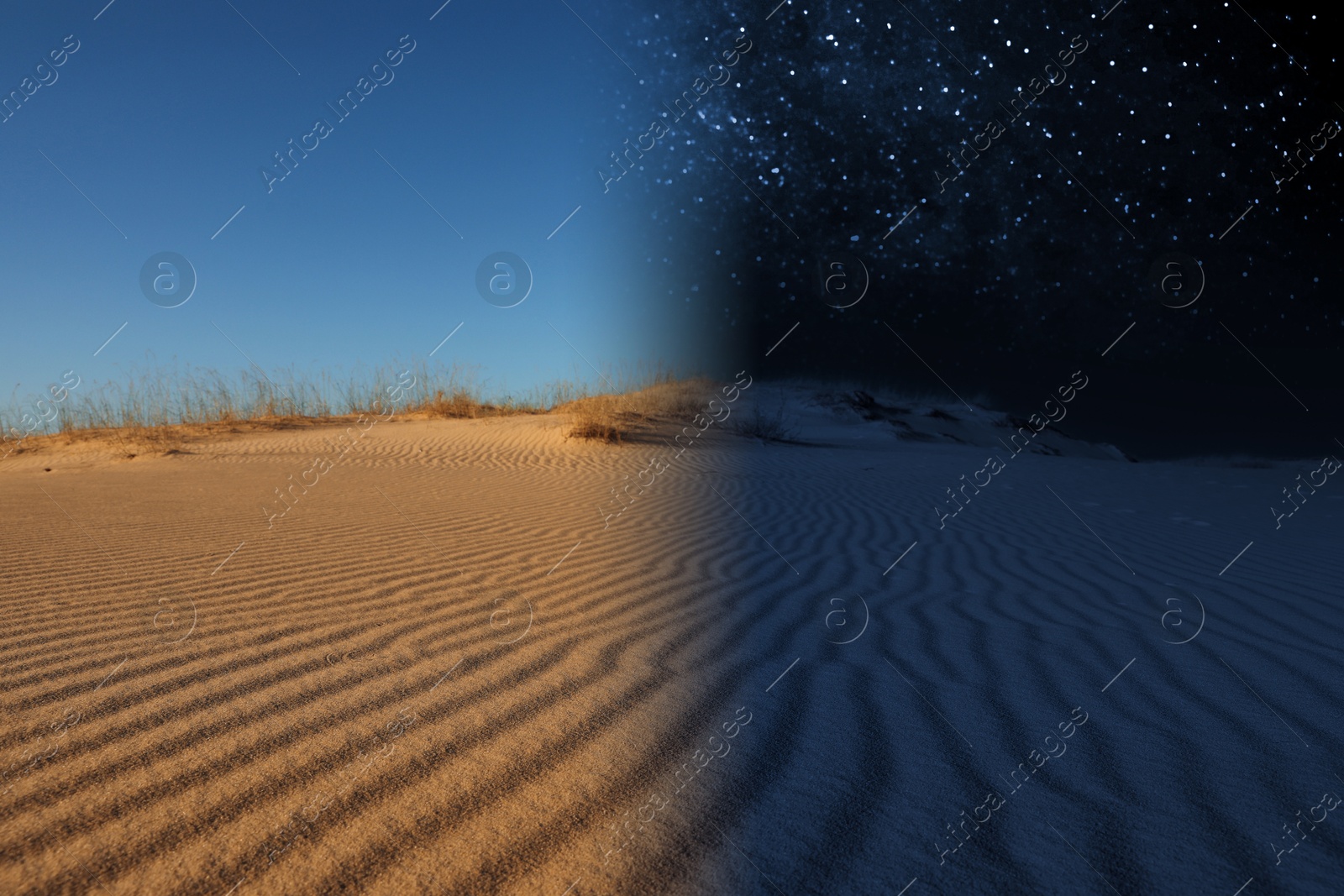 Image of Desert by day and under starry night sky. Time of day change, collage