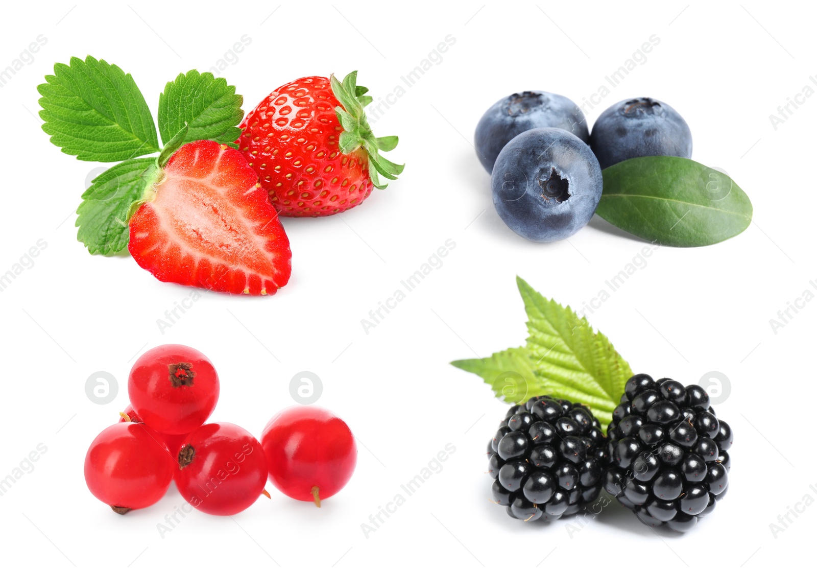 Image of Blueberries, blackberries, strawberries and redcurrant berries isolated on white