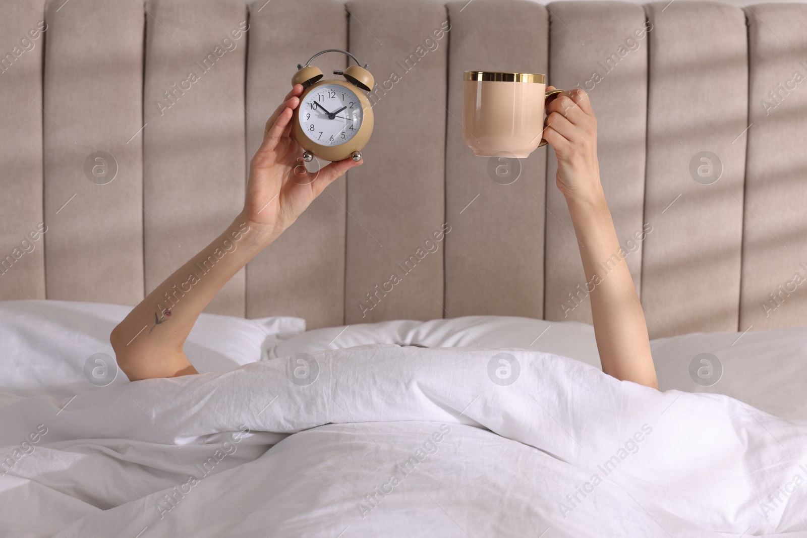 Photo of Woman with alarm clock and cup in bed at home, closeup. Good morning