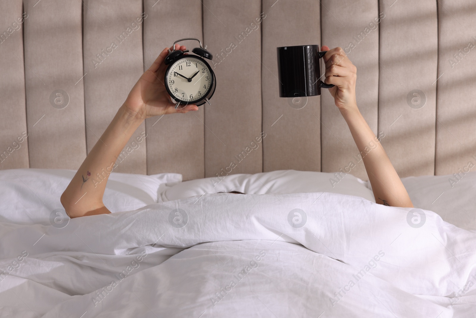 Photo of Woman with alarm clock and cup in bed at home, closeup. Good morning