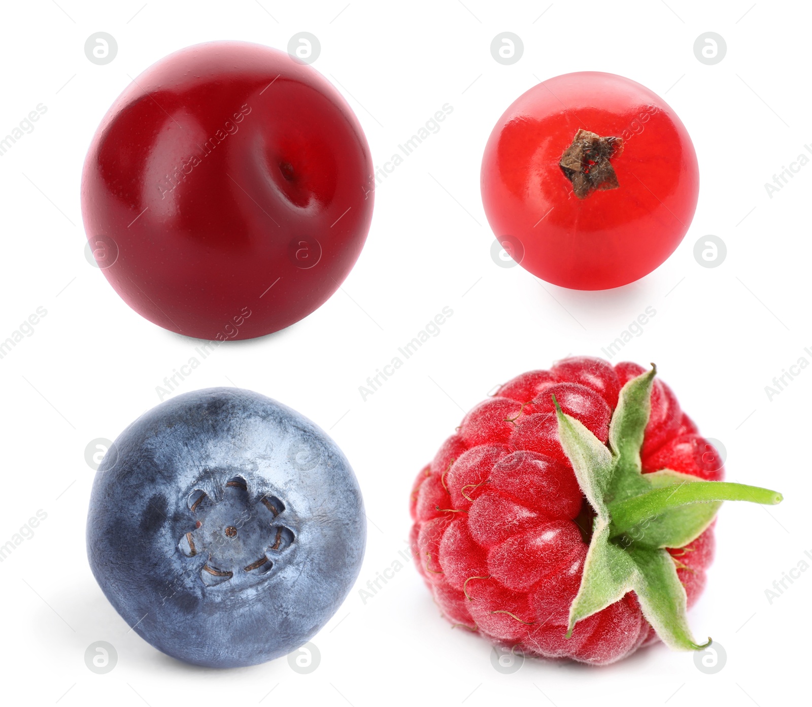 Image of Blueberry, cherry, raspberry and redcurrant berry isolated on white