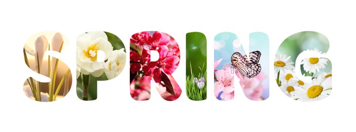 Image of Spring word with seasonal plants inside letters on white background