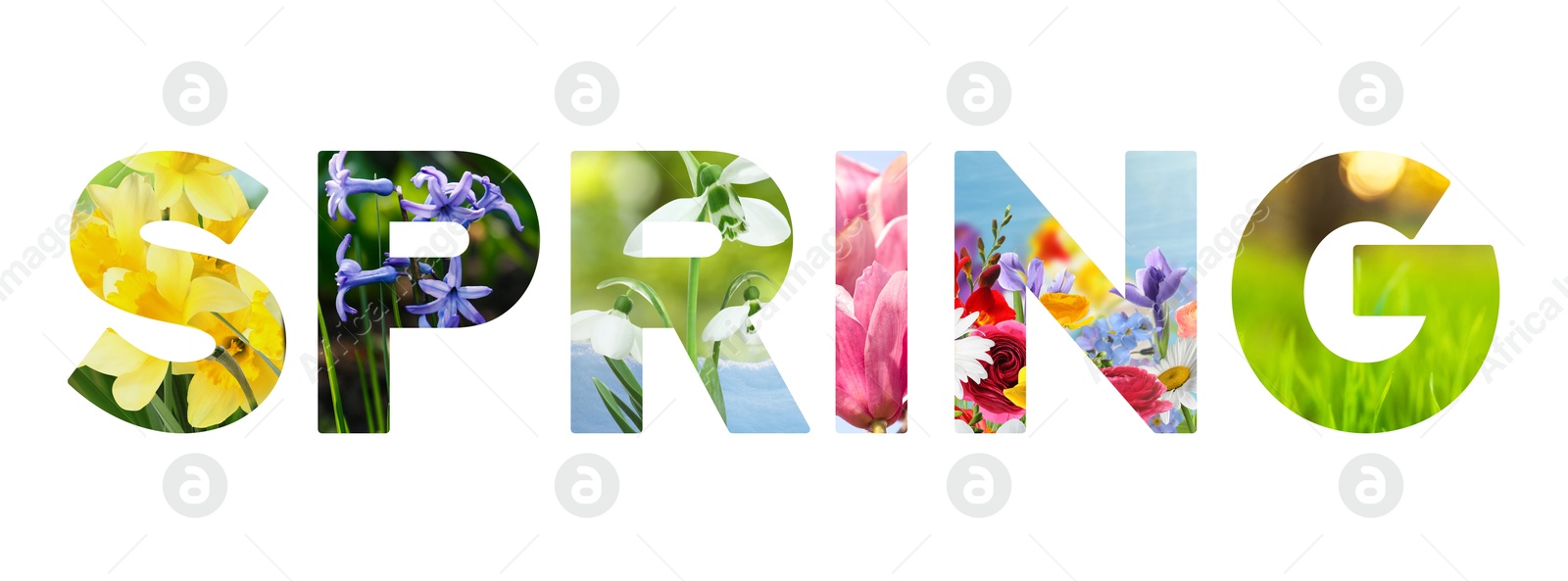 Image of Spring word with seasonal plants inside letters on white background