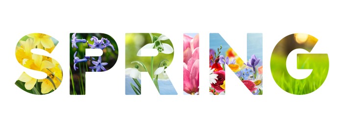 Image of Spring word with seasonal plants inside letters on white background