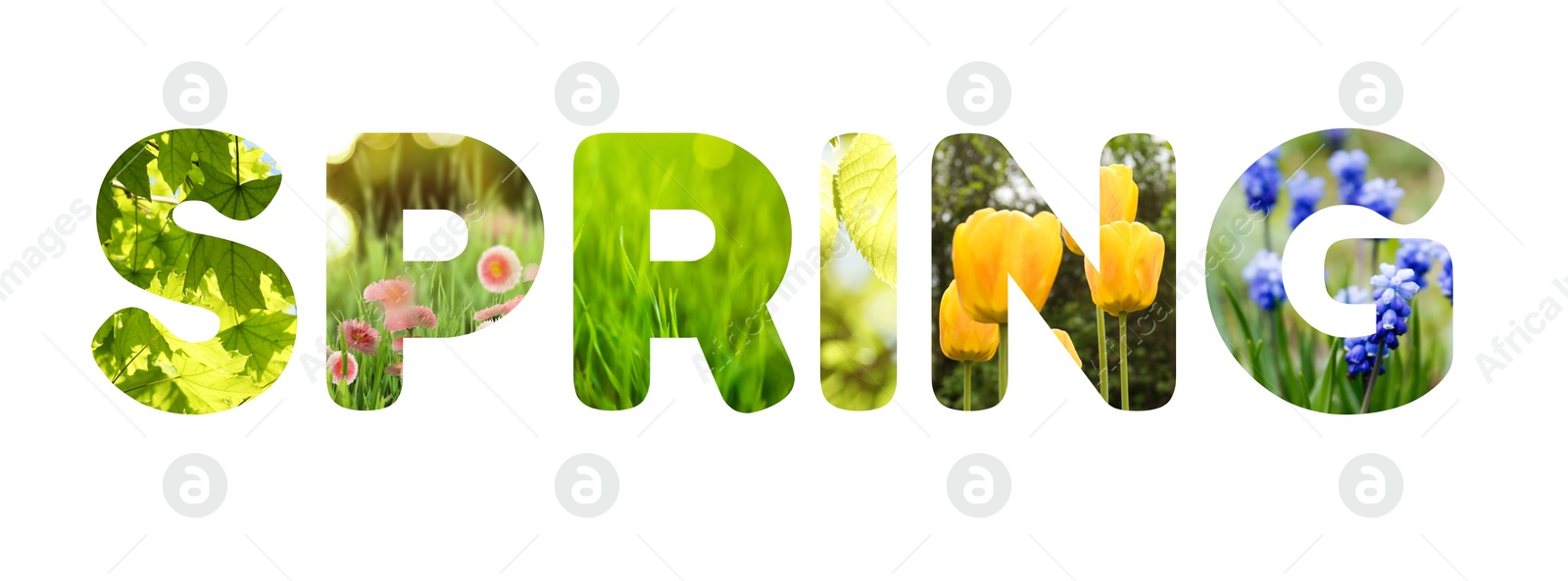 Image of Spring word with seasonal plants inside letters on white background