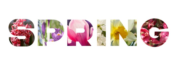 Image of Spring word with seasonal plants inside letters on white background