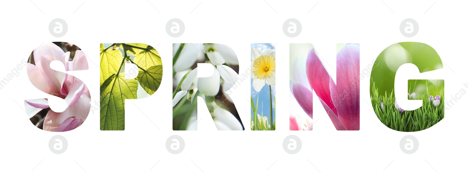 Image of Spring word with seasonal plants inside letters on white background