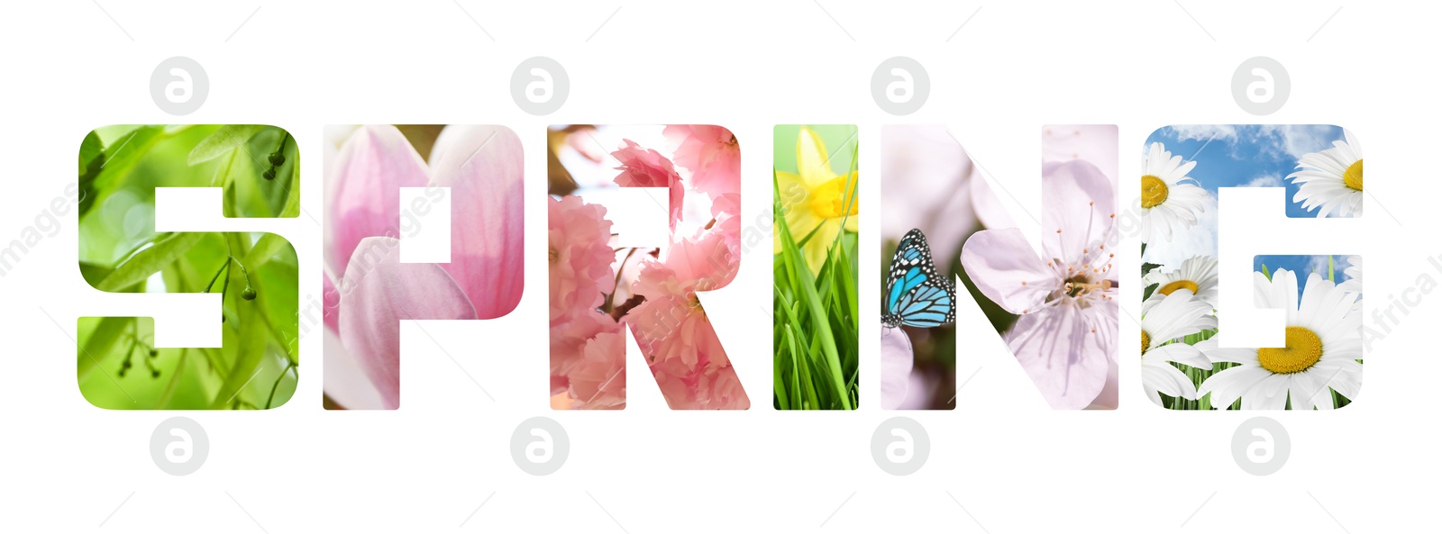 Image of Spring word with seasonal plants inside letters on white background