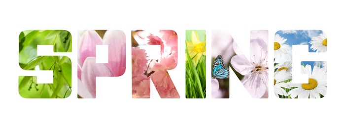 Image of Spring word with seasonal plants inside letters on white background