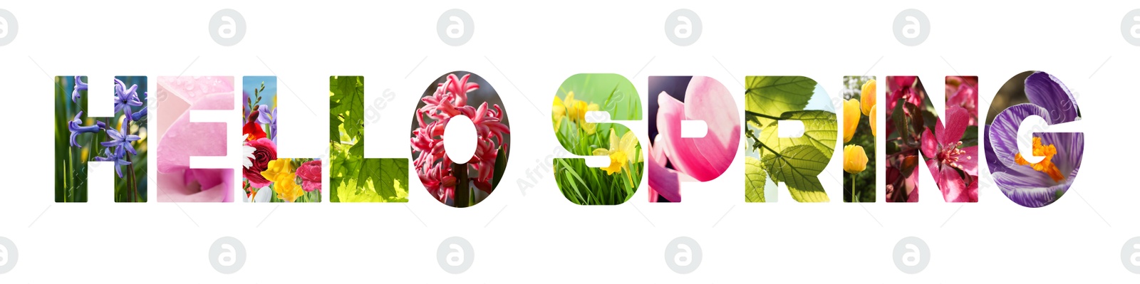 Image of Hello spring card with seasonal plants inside letters on white background