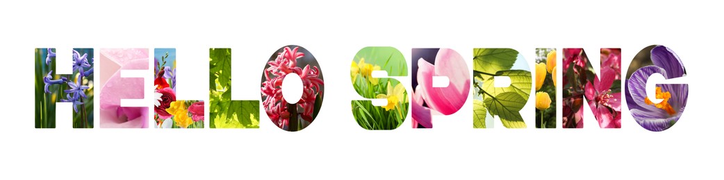 Image of Hello spring card with seasonal plants inside letters on white background