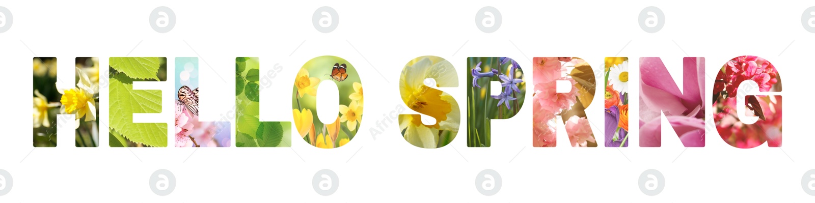 Image of Hello spring card with seasonal plants inside letters on white background