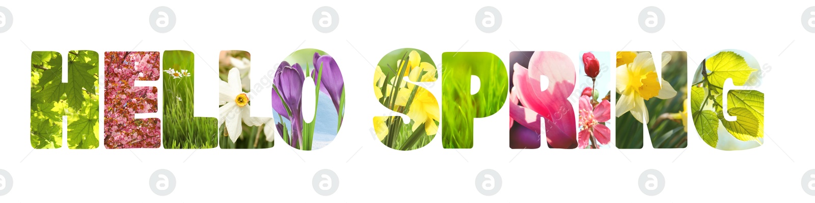 Image of Hello spring card with seasonal plants inside letters on white background