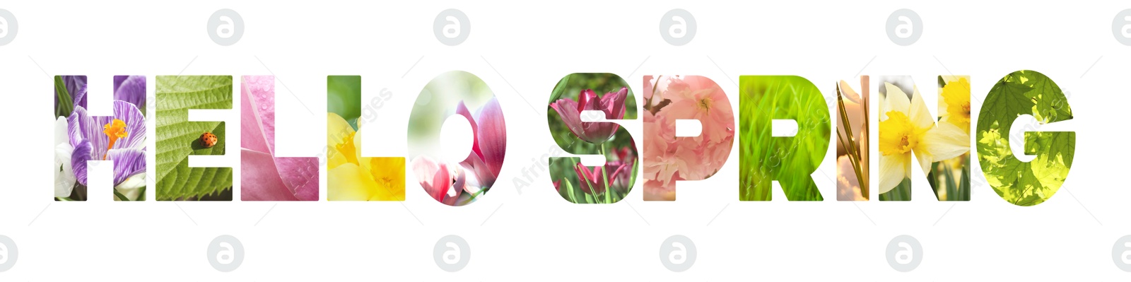 Image of Hello spring card with seasonal plants inside letters on white background