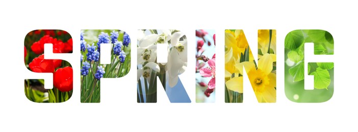 Image of Spring word with seasonal plants inside letters on white background