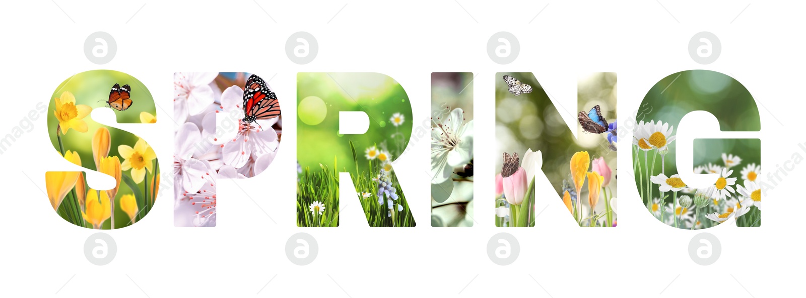 Image of Spring word with seasonal plants inside letters on white background