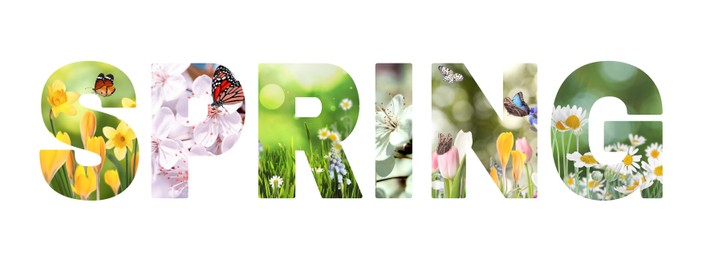 Spring word with seasonal plants inside letters on white background