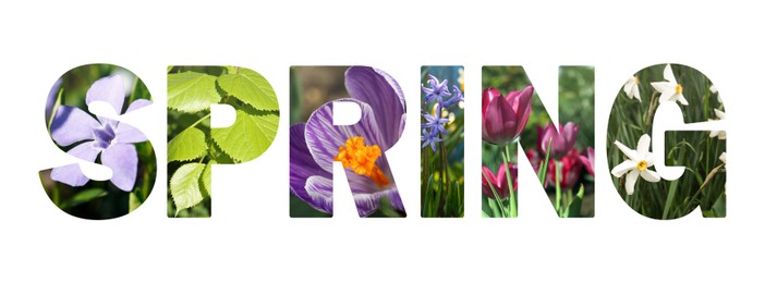 Spring word with seasonal plants inside letters on white background