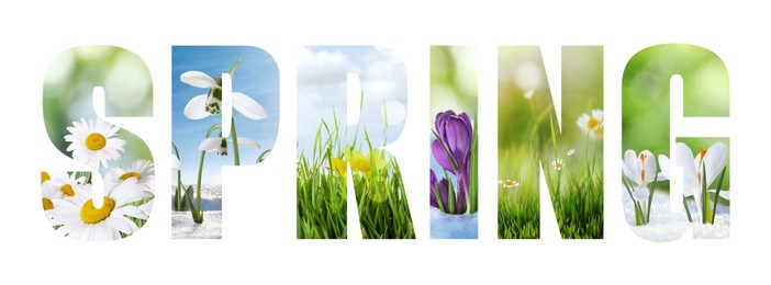 Image of Spring word with seasonal plants inside letters on white background