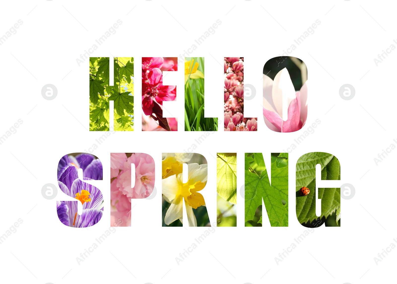 Image of Hello spring card with seasonal plants inside letters on white background