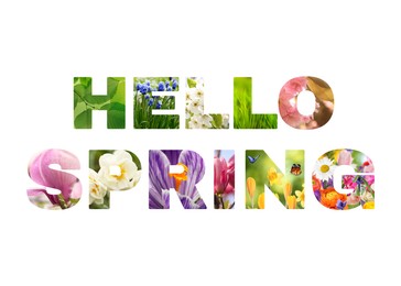 Hello spring card with seasonal plants inside letters on white background