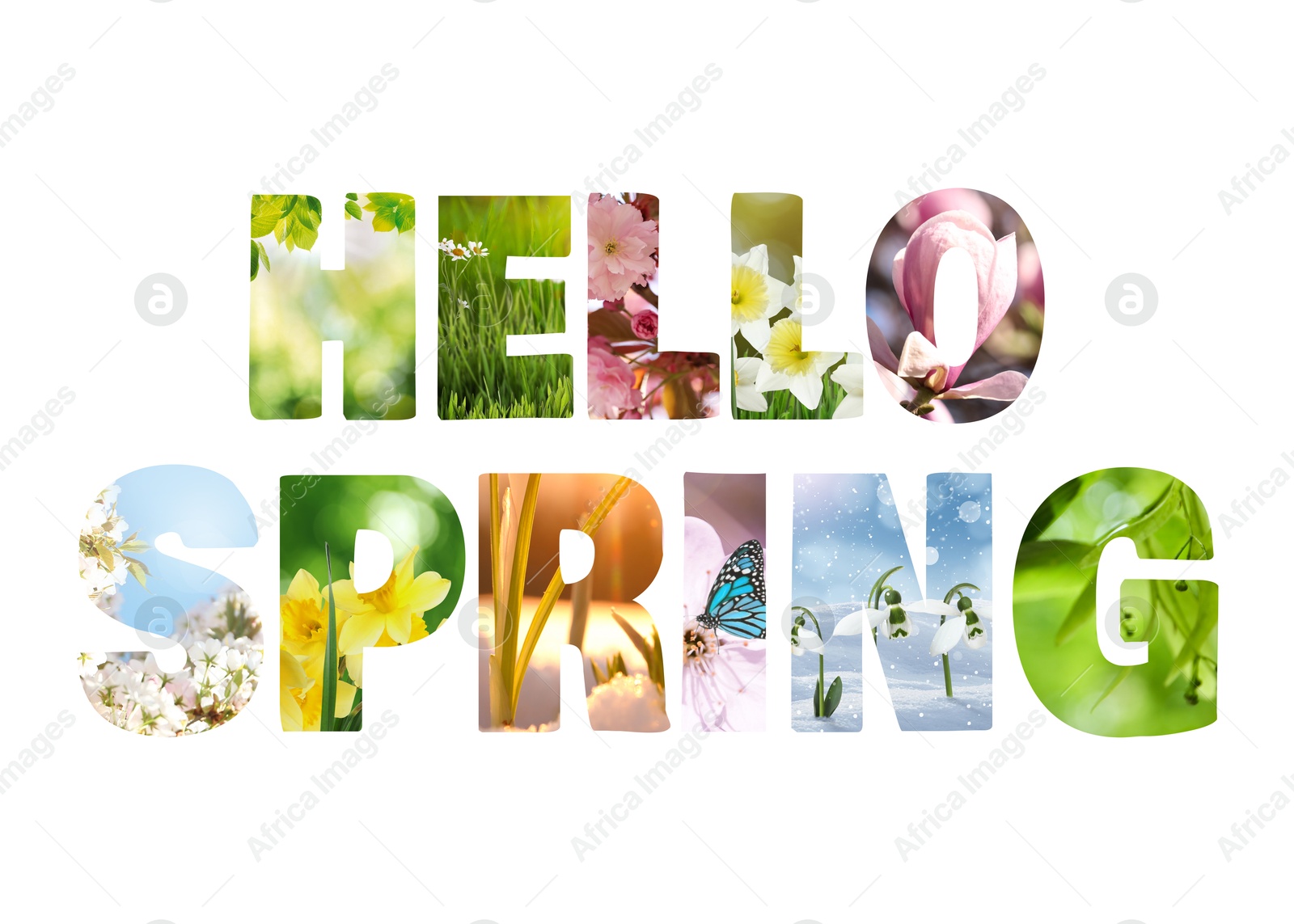 Image of Hello spring card with seasonal plants inside letters on white background