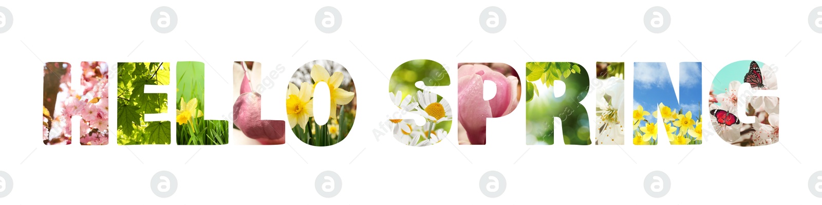 Image of Hello spring card with seasonal plants inside letters on white background