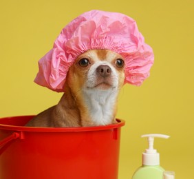 Photo of Cute funny dog with shower cap in plastic bucket on yellow background